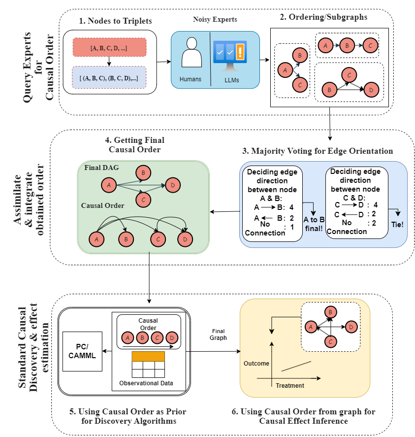 Causal order visualization